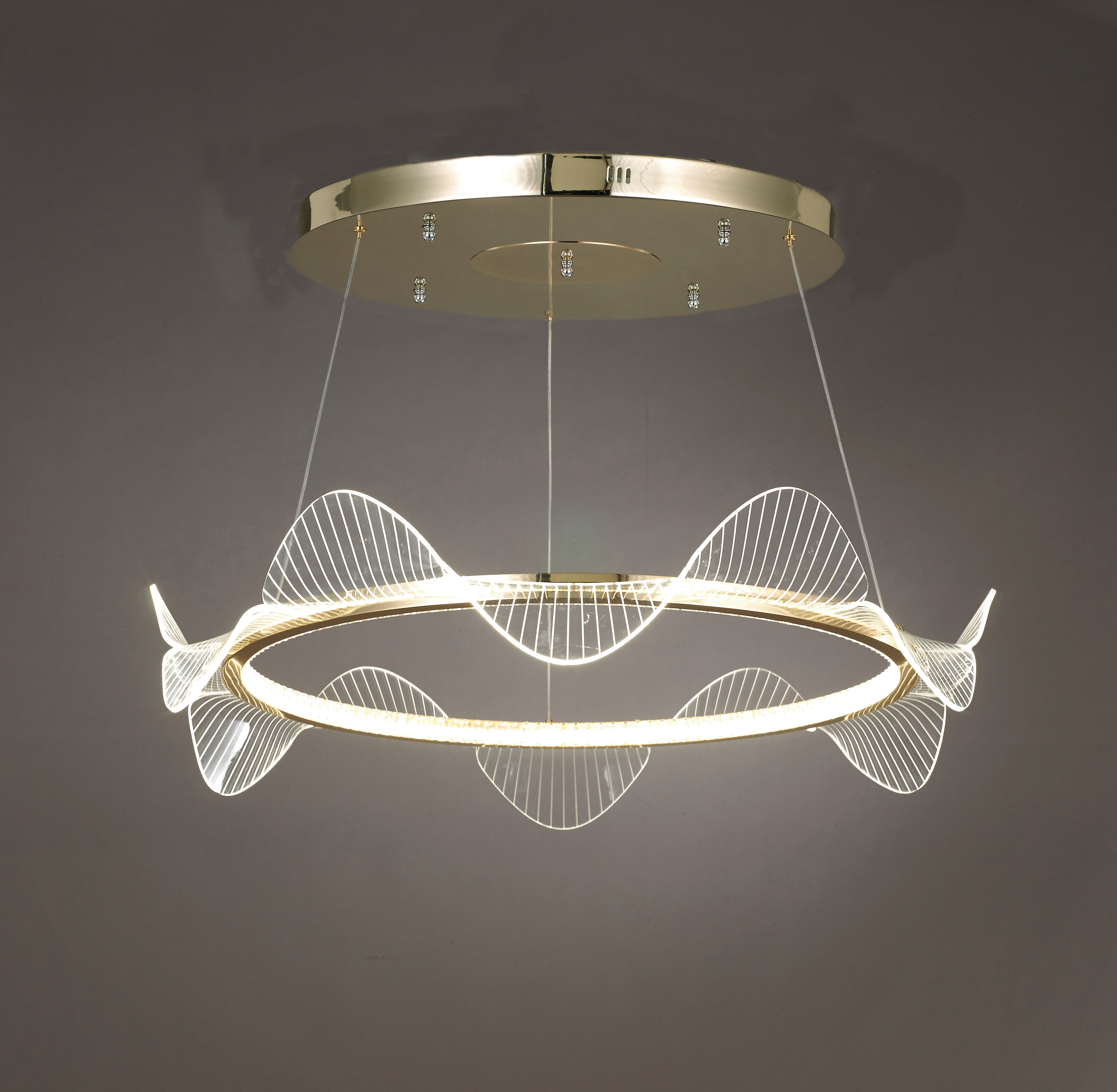 해바라기 1000 P/D