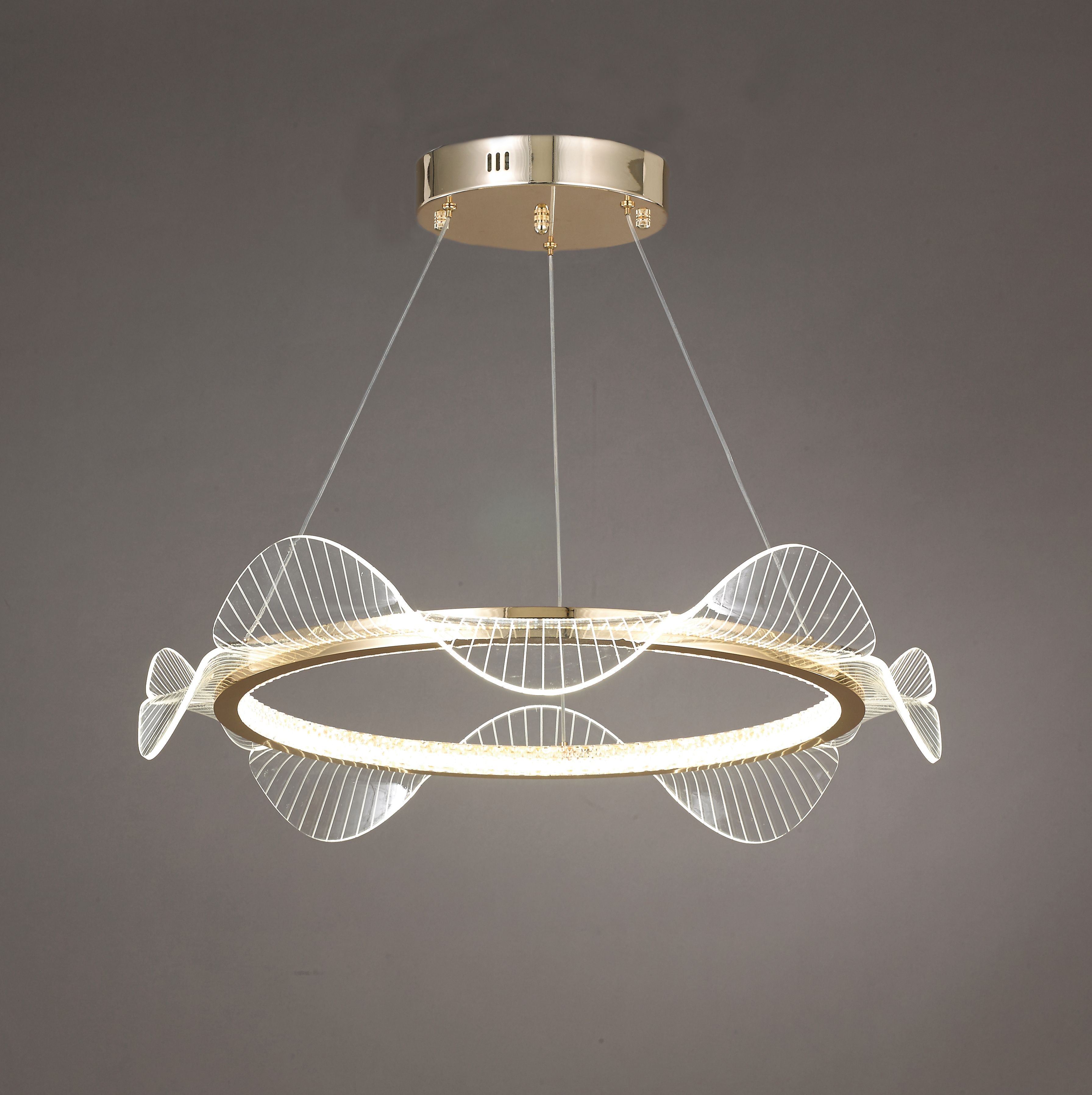 해바라기 800 P/D